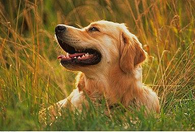 《LOOP8 降神》“红姬”介绍影片公布 游戏明年3月发售