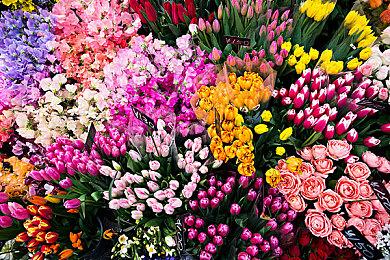 《潜渊症》发布“叛离潮汐”1.1版本更新 叛逆者系统重做